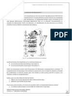Fundamentos Teoria 12.pdf