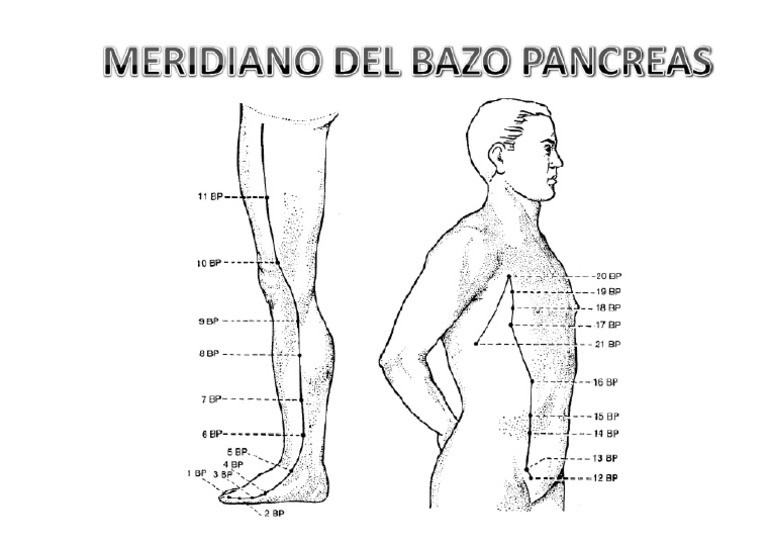 Meridiano Bazo Pancreas