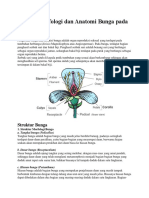 Truktur Morfologi Dan Anatomi Bunga Pada Tumbuhan