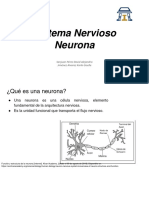 Sistema Nervioso Neurona: Sanjuan Pérez David Alejandro Jiménez Alvarez Karla Giselle