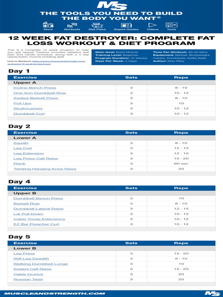 Fatdestroyer 0 Pdf Management Of Obesity Physical Exercise