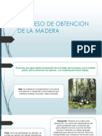 Proceso de La Obtencion de La Madera