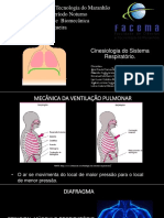 Cinesiologia Do Sistema Respiratório