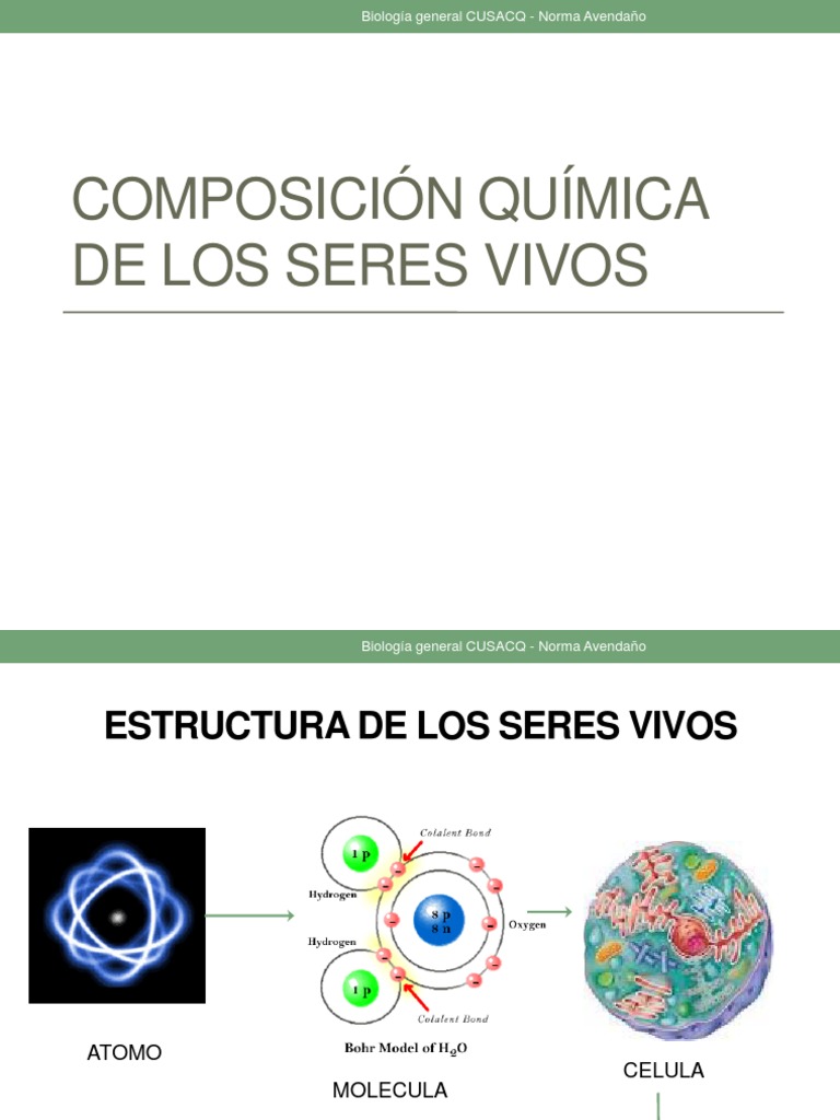 Composición Química de Los Seres Vivos Biología Celular