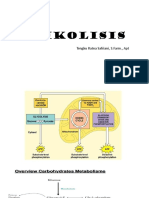 3. GLIKOLISIS.pptx