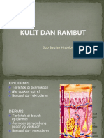 HISTO - Kulit Dan Rambut