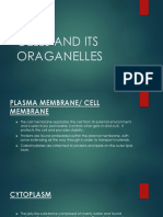 Cells and Its Organelles