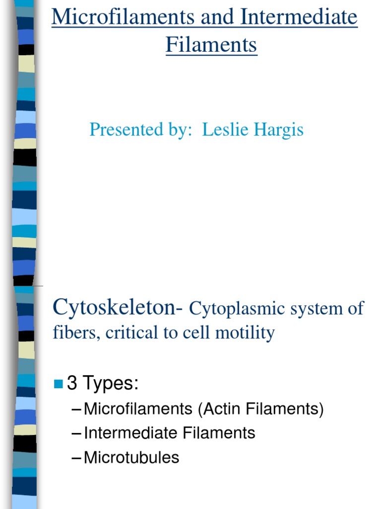 Microfilaments and Intermediate Filaments | PDF | Actin | Cytoskeleton
