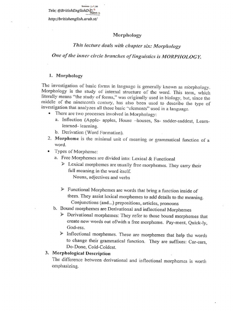 Summary Morphology Chapter 6