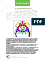 Biomecanica sacro