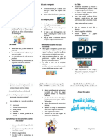 Triptico de Prevencion de Accidentes