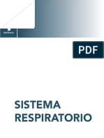 sistema respiratorio quinceava versión  (1)