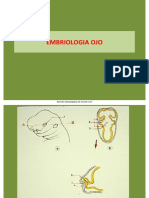 Embriologia Ojo