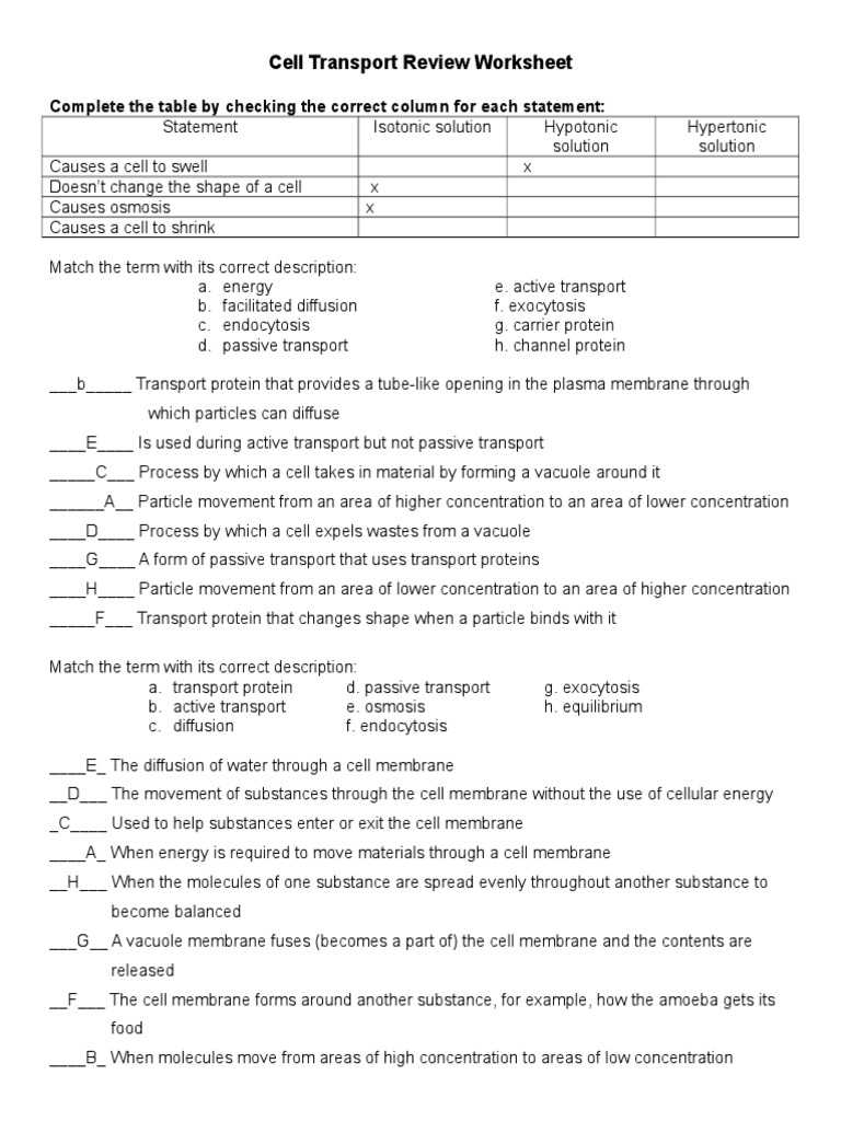 42-cellular-transport-review-worksheet-answer-key-worksheet-was-here