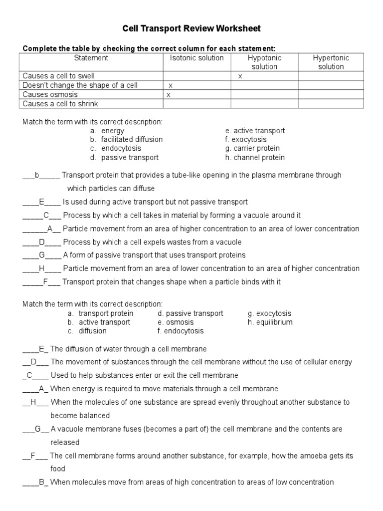 Cell Transport Review Worksheet 11  Osmosis  Cell Membrane With Passive Transport Worksheet Answers