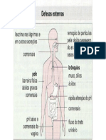 defesas externas