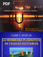Biologia - MEMBRANA PLASMATICA (kinesiologia)