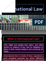 International Law - Karen's Report