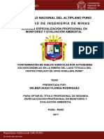Flores Rodriguez Wilber Hugo PDF