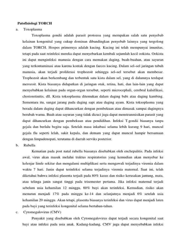 Patofisiologi Infeksi TORCH pada Ibu Hamil | PDF