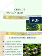 Proceso de La Fotosíntesis