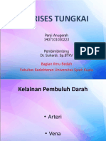 UNTUK VARISES TUNGKAI