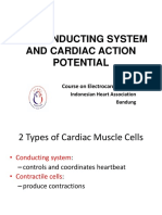 01-02. Ecg Course - The Conducting System and Cardiac Action Potential