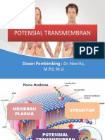 Potensial Transmembranppt