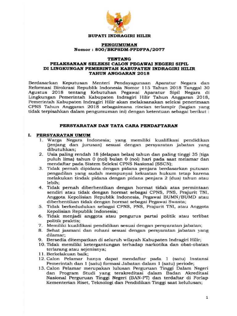 Pengumuman CPNS 2018 Inhil.pdf