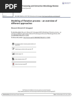 Modeling of Flotation Process