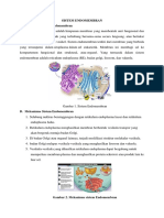 Ringkasan Endomembran