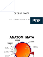 2. Cedera Mata-converted