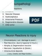 Neuropath o Log I