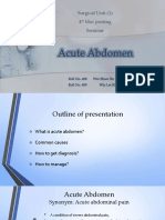 acuteabdomenseminar-160617111757.pdf