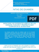 Preguntas de Examen - 2015-118037