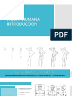 Introduccion Figura Humana
