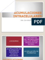 Acumulaciones Intracelulares Unidad III