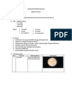 Laporan Praktikum Biologi Protista