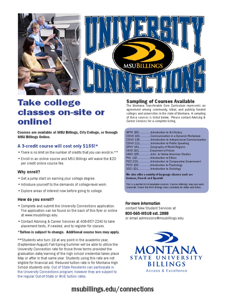 University Connections Application | PDF | Race And Ethnicity In The ...