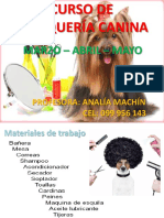 Power Point Curso Peluqueria Canina