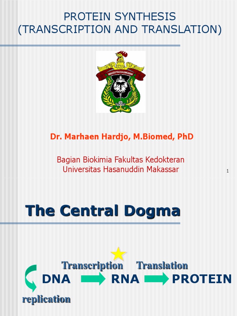 Protein Synthesis | PDF | Genetic Code | Promoter (Genetics)