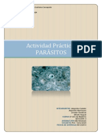 202095794 Informe Actividad Laboratorio Parasitos