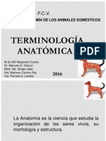 Terminología Anatómica PDF