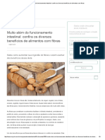Fibras PDF