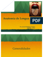 78372199-Anatomia-de-Lengua.pdf