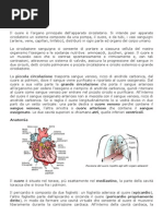 Modulo 1 Anatomia Cardiaca