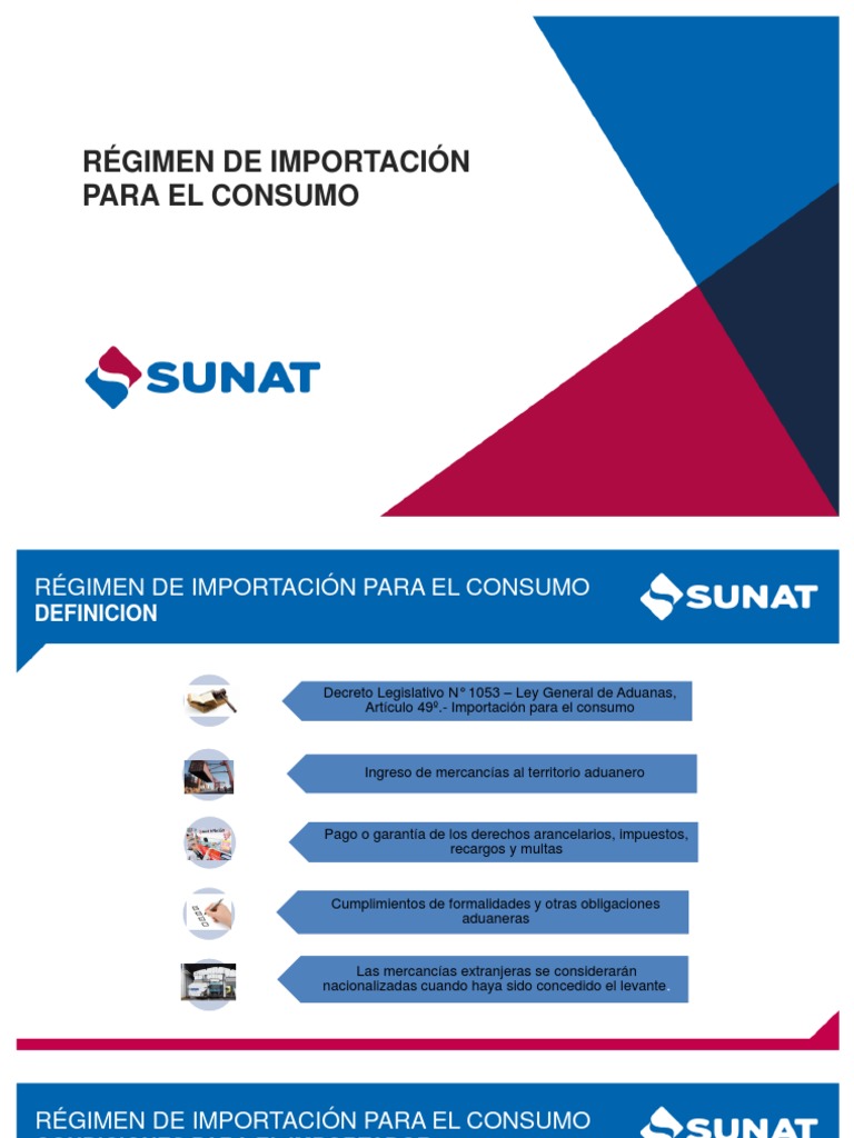 Proceso de Importación para Consumo | PDF | aduana | Arancel