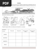 Anexoecositema 100807081719 Phpapp01