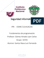 Seguridad Informàtica Programaciòn Santos Nava