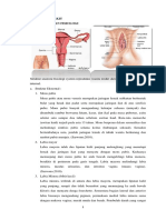 Anatomi dan Fisiologi Sistem Reproduksi Wanita